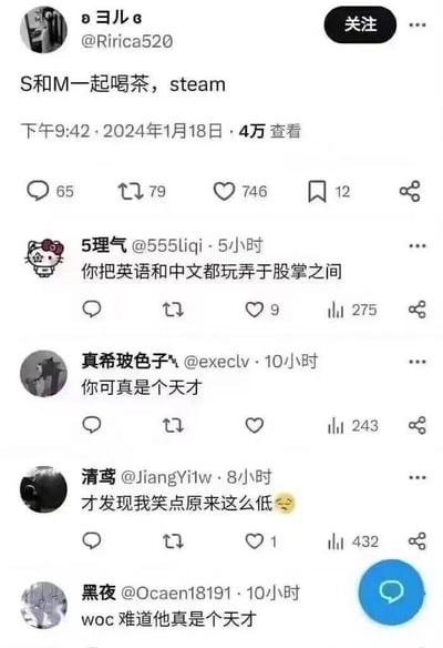 一张社交媒体截图，展示了用户'ヨル'发布的一个语言梗：'S和M一起喝茶，steam'。这里使用了双关语，'steam'既指茶产生的蒸汽，也暗示了S&M(施虐与受虐)的组合。下方有其他用户的评论，称赞发布者的创意。