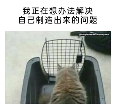 这是一张搞笑自嘲类梗图，图片上方配有中文文字“我正在想办法解决自己制造出来的问题”，画面主体是一只虎斑猫背对镜头，待在宠物航空箱内，正对着从内部反锁的箱门，呈现出一种自己进入箱子后被困住、试图解决困境的状态，生动形象地对应了配文内容，精准调侃了人们生活中“自己挖坑自己填”、制造出麻烦后又费力解决的窘境，引发共鸣。