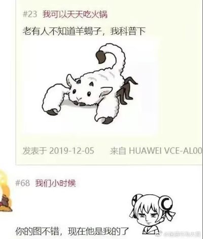 这是一张微博平台的多图拼接截图，分为上下两个部分。上半部分是一条发布于2019年12月5日的微博，标题为“#23 我可以天天吃火锅”，正文以“老有人不知道羊蝎子，我科普下”为引子，搭配了一张网友原创的合成图：将羊的身体和蝎子的尾部、钳子结合，用谐音梗的方式“具象化”了美食“羊蝎子”（实际羊蝎子是羊的脊椎骨，因形状类似蝎子而得名），玩了一个趣味科普的梗。下半部分是另一组内容，标题为“#68 我们小时候”，搭配了动漫《银魂》中角色神乐的截图，配文“你的图不错，现在他是我的了”，模仿网络上“抢图”的搞笑互动梗，对上半部分的科普图进行玩梗式调侃，整体内容充满幽默趣味。