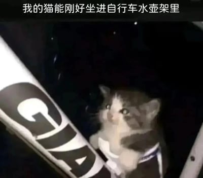 图片中一只灰白相间的小猫正坐在自行车水壶架里，它的身体大小与水壶架完美契合，只露出一个小脑袋和两只前爪。小猫睁着圆圆的大眼睛，表情看起来有些惊讶又带着好奇。图片上方配有文字“我的猫能刚好坐进自行车水壶架里”，记录下这个有趣又可爱的瞬间。
