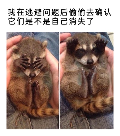 这是一张左右对比的图文混排图，上方配有文字“我在逃避问题后偷偷去确认它们是不是自己消失了”。左侧图中的小浣熊双手紧紧捂住眼睛，双脚合十，呈现出完全逃避的姿态；右侧图里的小浣熊放下捂住眼睛的手，将双手举在头部两侧，双脚也分开，偷偷露出眼睛，像是在查看之前逃避的问题有没有消失。这张图借助小浣熊的可爱动作，生动具象地表现出人们面对不想解决的问题时，先选择逃避，却又忍不住偷偷确认问题是否自行消失的纠结、忐忑的日常心态，很容易引发观者的共鸣。