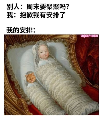 这是一张幽默梗图，上方文字描述了社交场景中人们常说的客套话："别人：周末要聚聚吗? 我：抱歉我有安排了"，下方紧接着"我的安排："的标题，展示了一幅古典风格的油画。画中一个婴儿被精致地包裹在白色蕾丝襁褓中，安静地躺在华丽的枕头上，旁边竟然还有一只同样被裹在相似襁褓中的猫，形成了有趣的对比。

图片通过反差制造笑点：表面上拒绝社交时说的"有安排"听起来很忙碌重要，实际上所谓的"安排"只是像婴儿一样安静地躺着休息，表达了许多人内心渴望独处、拒绝不必要社交的真实想法。
