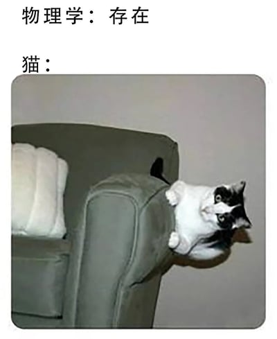 图片上方配有文字“物理学：存在”和“猫：”，下方是一只黑白相间的猫正以违反重力的姿势倒挂在灰色沙发的扶手上，身体悬空，前爪紧抓扶手边缘，头部扭转向上看，表情带着一丝惊讶。整体通过文字与猫咪反物理常识的动作形成幽默对比，调侃猫咪总能做出不符合物理规律的行为。