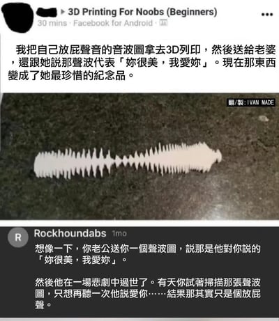 这是一张由Facebook帖子和用户评论拼接而成的黑色幽默梗图：
1. 上方帖子内容：用户分享自己将放屁的声音音波图进行3D打印，欺骗老婆说这是「你很美，我爱你」的声波纹，结果这个3D打印品成了老婆最珍惜的纪念品；
2. 下方用户Rockhoundabs的评论脑补了扎心后续：如果老公意外离世，老婆扫描这个声波纹想重温情话，结果听到的却是放屁声。
整个梗图用荒诞的恶作剧，加上评论区的神补刀，制造出反转感拉满的黑色幽默效果，没有双关或谐音梗，核心是剧情的荒诞反转。
