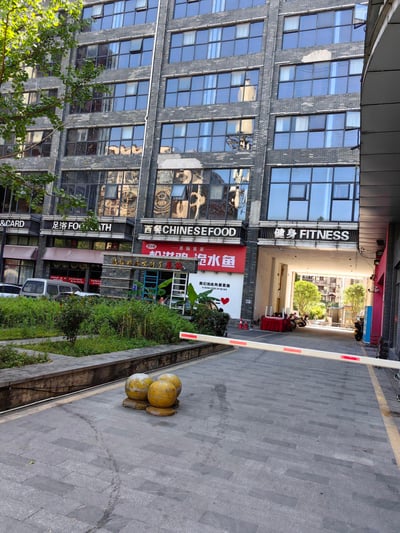 这是一张实拍的恩施临街商业楼照片，建筑为灰砖搭配大面积玻璃窗的多层结构，底层分布着多元业态的临街店铺，涵盖足浴、西餐、健身馆，还有一家主打松滋鸡、洈水鱼的本地特色餐馆。墙面设置了「想你的风吹到了恩施」「我们如此热爱恩施」的在地标语，充满烟火气与本地情怀。画面前景是园区通道，配有挡车杆与石球，左侧有绿植点缀，整体呈现出日常的城市商业生活场景，无谐音梗或双关内容。