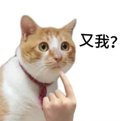 图片中是一只橘白相间的猫，它瞪着圆圆的大眼睛，表情看起来十分惊讶和困惑。一只人类的手正用食指轻轻指着猫的下巴，猫的脖子上戴着一个粉红色的项圈。图片右侧配有文字“又我?”，营造出一种猫咪被突然点名时的无辜又惊讶的搞笑效果。