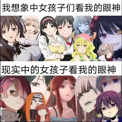 这张梗图采用上下分栏对比的形式，将二次元爱好者想象中女生看自己的场景与现实场景进行反差呈现：上半部分选用多个对主角充满爱慕、痴迷情绪的二次元女性角色表情，搭配文字“我想象中女孩子们看我的眼神”，构建出自我幻想中被异性青睐的场景；下半部分则选用多个带有嫌弃、鄙夷、无语等负面情绪的二次元女性角色表情，搭配文字“现实中的女孩子看我的眼神”，展现出现实中的情感落差。整体内容充满自嘲意味，精准戳中部分二次元爱好者在现实社交中的处境，通过二次元元素的拼接制造出搞笑的反差效果。