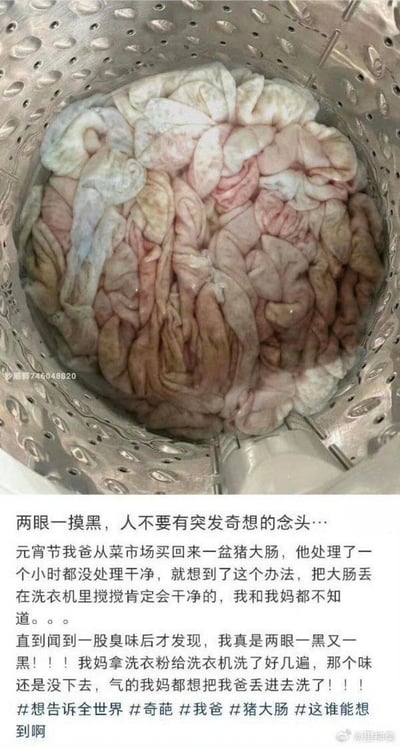 这是一张图文结合的生活趣事分享图，上方实拍图展示了洗衣机内桶被塞满猪大肠的画面，下方文字讲述了元宵节期间，网友的父亲因处理猪大肠一小时仍未干净，突发奇想将猪大肠放入洗衣机搅拌清洗，结果导致洗衣机残留浓重异味，母亲用洗衣粉反复清洗都无法去除，全家陷入崩溃的搞笑经历，充满了生活里的奇葩操作带来的荒诞感。
