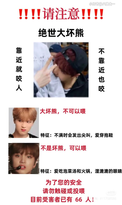 这是一张小红书风格的搞笑警告类 meme，顶部用红色感叹号和“请注意”字样吸引注意，主标题为“绝世大坏熊”。图片分为三个部分：第一部分展示一名红发戴帽者被手指指向头部，左右配文“靠近就咬人”和“不靠近也咬”；第二部分是金发者照片，标注“大坏熊，不可以喂”，特征为“不满时会发出尖叫，爱穿拖鞋”；第三部分是棕发者照片，标注“不是坏熊，可以喂”，特征为“爱吃泡菜汤和火锅，湿漉漉的眼睛”。底部用红色文字警告“为了您的安全 请勿触碰或投喂 目前受害者已有 66 人！”，整体通过夸张对比和幽默描述营造搞笑效果。
