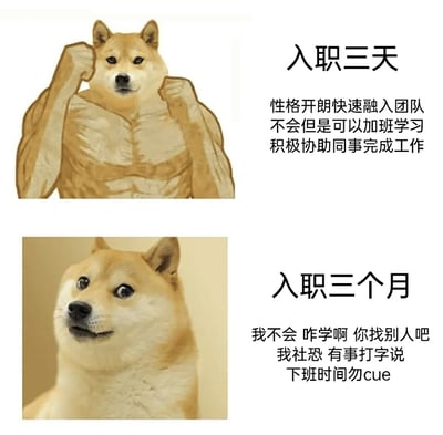 这是一张上下对比的图文梗图，通过两张不同状态的Doge（神烦狗）柴犬表情包，对比职场人入职三天和入职三个月的心态与状态变化：入职三天时，用P有健硕肌肉的Doge形象搭配积极的文字，展现出职场新人主动融入团队、愿意加班学习、积极协助同事的热情状态；入职三个月时，用经典的摆烂神态Doge形象搭配消极的文字，呈现出职场人熟悉环境后拒绝额外工作、自称社恐、拒绝下班时间被打扰的摆烂状态，精准戳中职场人的真实心态，引发强烈共鸣。