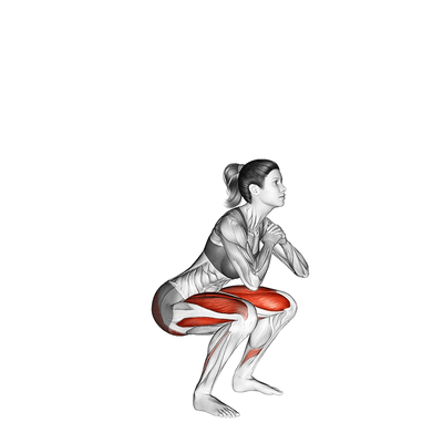 这是一个展示女性深蹲动作中肌肉活动的解剖学动画。动画中，一位女性人体模型从站立姿势逐渐下蹲，然后回到站立位置。整个过程中，参与动作的主要肌肉群（包括大腿前侧的股四头肌、臀部肌肉和腿后肌群）以红色高亮显示，清晰展示了这些肌肉在深蹲过程中的收缩和伸展状态。背景为纯白色，突出显示人体结构和肌肉线条。