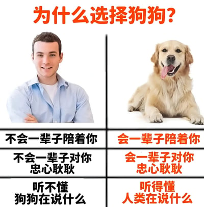 图片以对比形式呈现，上方红色大字标题为“为什么选择狗狗？”。左侧是一位穿着蓝色衬衫、双臂交叉微笑的男性，右侧是一只吐着舌头、表情开心的金毛犬。下方分为三行对比文字，左侧黑色文字写着“不会一辈子陪着你”“不会一辈子对你忠心耿耿”“听不懂狗狗在说什么”，右侧红色文字对应写着“会一辈子陪着你”“会一辈子对你忠心耿耿”“听得懂人类在说什么”，通过鲜明对比突出狗狗的忠诚陪伴特质。