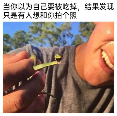 这是一张充满反差感的搞笑实拍梗图，画面中一只手捏住一条绿色小蛇的身体，小蛇大张嘴巴，神态惊恐且带着攻击性，仿佛以为自己即将遭遇危险；旁边的人类则咧嘴大笑，看起来十分开心。图片顶部配文“当你以为自己要被吃掉，结果发现只是有人想和你拍个照”，用拟人的手法将小蛇的反应解读为它误以为要被吃掉，结果只是人类想和它合影，制造出强烈的反差搞笑效果，用来调侃生活中虚惊一场的场景，让人忍俊不禁。