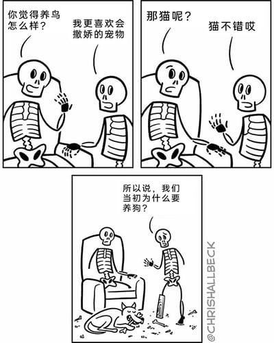 这是一幅三格黑白连环幽默漫画，以两个拟人化的骷髅为主角展开对话。第一格中，坐着的骷髅询问站着的骷髅对养鸟的看法，站着的骷髅表示自己更喜欢会撒娇的宠物；第二格中，坐着的骷髅又提及养猫，站着的骷髅认可猫符合自己的喜好；第三格中，站着的骷髅突然发出灵魂拷问，两人看着正在地上啃骨头的狗，疑惑当初为何选择养狗，通过日常养宠的吐槽形成反差笑点，调侃了养宠选择与自身偏好不符的矛盾感。