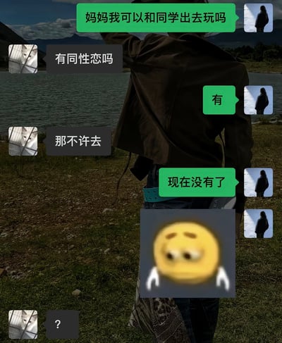 这张梗图以湖边风景为背景，展示了一段孩子与妈妈的幽默对话。孩子问能否和同学出去玩，妈妈询问是否有同性恋同学，当孩子回答有时，妈妈禁止其外出，孩子随后改口说"现在没有了"，最后妈妈发出问号表示疑惑。图中还插入了笼子里的猫的图片和人物背影小图作为对话双方的标识。