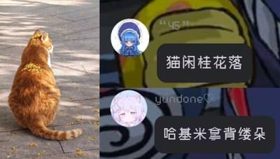 左侧为一只背上落满桂花的橘猫坐在石板路上，右侧上半部分为蓝发动漫女孩头像配文'猫闲桂花落'，下半部分为粉发动漫女孩头像配文'哈基米拿背缕朵'的拼贴图片。