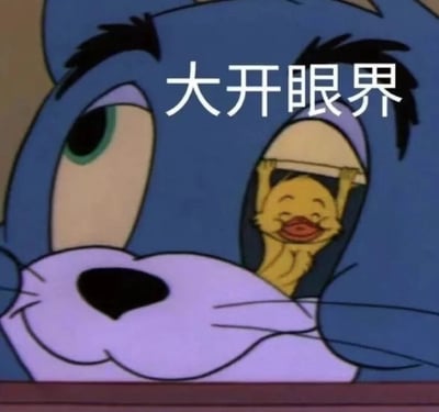 这是一张《猫和老鼠》动画片的截图改编表情包，展示了汤姆猫一只眼睛极度睁大的特写画面，瞳孔中露出一只黄色小鸭子正笑着从类似窗户的结构中探出头来。图片上方配有白色文字“大开眼界”，形成了视觉与文字的幽默呼应。