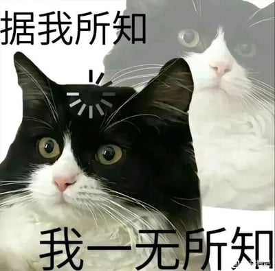 这是一张经过P图改编的文字加注类静态表情包，主体是一只黑白花色的猫咪，前景的猫咪眼睛瞪大，露出茫然无措的神情，头顶还添加了类似“裂开”的线条图案，强化了茫然的情绪，背景是同一只猫咪的模糊身影。图中配有上下两行反差感文字，上方为“据我所知”，下方为“我一无所知”，用这种前后矛盾的表述，以幽默的方式表达自己其实完全不清楚相关情况，常被用于他人询问事情时，调侃自己什么都不知道的状态，传递出一种无奈又搞笑的情绪。