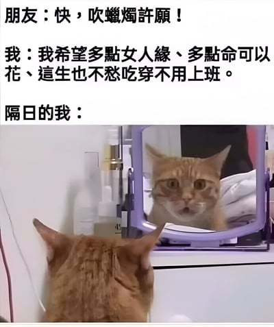 这是一张幽默梗图，上半部分是文字对话，朋友让主角吹蜡烛许愿，主角许愿希望有更多女人缘、更多钱花，以及不愁吃穿不用上班。下半部分是一只橘猫惊讶地看着镜子中的自己，暗示愿望以意想不到的方式实现了——主角变成了一只被人照顾、不需要工作的宠物猫。