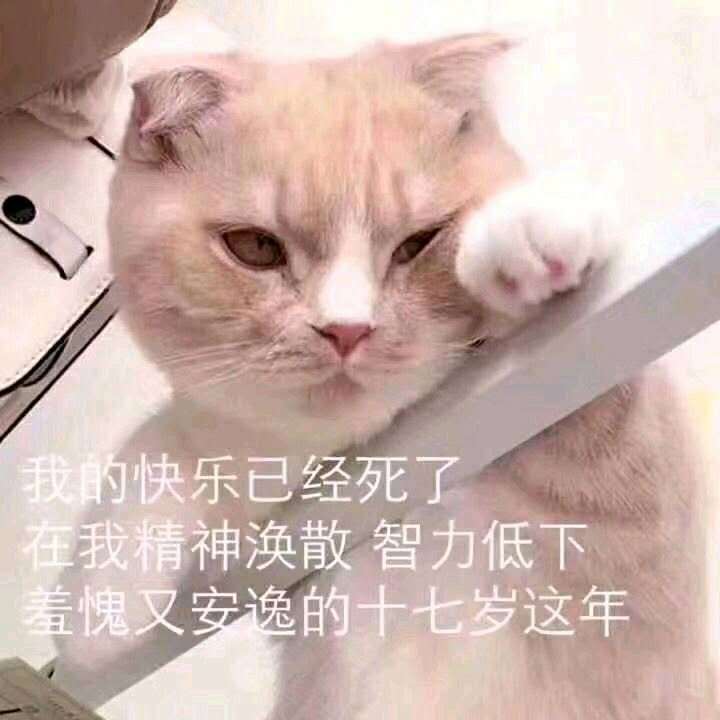 我的快乐已经死了