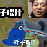 猫和老鼠