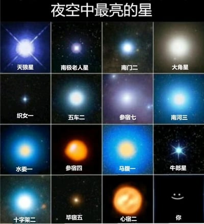 这是一张4x4网格布局的多图拼接图，标题为“夜空中最亮的星”。图中展示了15张不同恒星的天文图像，每张图像下方均标注了对应的中文星名，包括天狼星、南极老人星、南门二、大角星、织女一、五车二、参宿七、南河三、水委一、参宿四、马腹一、牛郎星、十字架二、毕宿五、心宿二。最后一格（右下角）并非真实星体图像，而是一个黑色背景上的白色微笑表情符号，下方标注“你”，通过这种反差幽默的方式，暗示观看者是“夜空中最亮的星”。