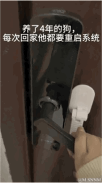 这是一段搞笑的GIF动图，展示了一只哈士奇的一系列趣味反应：一开始它对着镜头，配文“嗅觉识别～”，似乎在辨认镜头后的人是不是自己的主人；接着它扭头看向别处，配文“扭头自我怀疑 确定我确实不在家”，表现出没认出主人的疑惑；然后画面以2倍速播放，配文“非禁止画面～2倍速观看～”，哈士奇在原地来回走动，看起来在反复确认；最后它突然反应过来，配文“突然识别成功，确定我是铲屎官”，立刻兴奋地朝着镜头方向扑过来。整个过程用拟人化的文字配上哈士奇的真实反应，把狗狗那种有点“傻气”又可爱的特质表现得淋漓尽致，十分滑稽有趣。