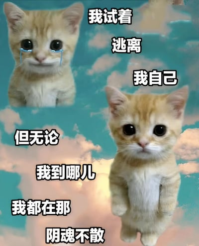 图片中有两只站立的橘色小猫，背景是蓝天白云。上方小猫双眼含泪，配文'我试着逃离我自己'；下方小猫表情严肃，配文'但无论我到哪儿我都在那阴魂不散'。整体通过可爱的猫咪形象与略带哲学意味的文字形成反差萌，表达一种无法摆脱自我的无奈情绪。
