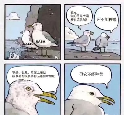 这是一张四格连环漫画，以两只海鸥为角色展开对话。第一格中，两只分别标有“CASIC”和“NASA”字样的海鸥站在海边岩石上；第二格，标有“CASIC”的海鸥问：“老兄 你的月球土壤分析结果呢？”，标有“NASA”的海鸥回答：“它不能种菜”；第三格，“CASIC”海鸥疑惑道：“不是，老兄，月球土壤应该会有很多稀有元素和矿物吧”；第四格，“NASA”海鸥淡定重复：“但它不能种菜”。漫画通过拟人化的海鸥对话，幽默对比了不同机构对月球土壤研究可能存在的关注点差异——一方关注科学价值（稀有元素），另一方则聚焦于实用功能（能否种菜）。