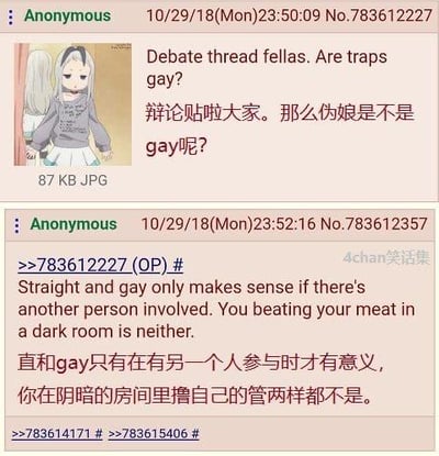 这是一张国外匿名论坛4chan的帖子截图，楼主以匿名身份发起辩论帖，提问“伪娘是不是gay呢？”，并附带了一张有着浅色长发、穿着宽松卫衣的伪娘风格动漫角色图；楼下另一位匿名用户从性取向定义的角度给出调侃式观点：直和gay的定义只有在涉及另一个人的时候才有意义，自己在阴暗房间自慰的话两者都不算。图中同时配有英文原文和中文翻译，整体以轻松调侃的方式讨论亚文化相关的性取向话题。