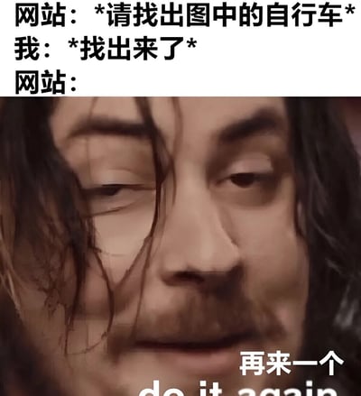 这是一张搞笑梗图，上方文字模拟了一段对话：网站要求找出图中的自行车，用户回应“找出来了”，而网站未明确回应。下方是一张真人面部特写，人物表情显得无奈，右下角配有文字“再来一个 do it again”，暗示用户找自行车的尝试失败，需要重新挑战，幽默地调侃了类似验证码识别等网络测试中常见的“失败后重试”场景。