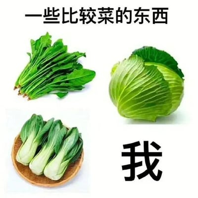 暂无描述