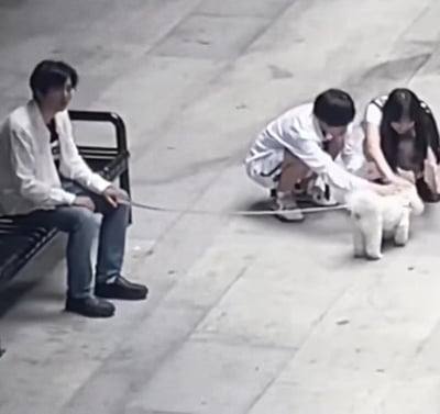 图片展示了一个温馨的户外场景：一名男子坐在黑色长椅上，穿着白色外套和牛仔裤，手中握着一根狗绳。狗绳的另一端连接着一只白色的小狗，两名路人（一男一女）正蹲在地上与小狗互动，男子伸出手抚摸小狗，女子则低头看着小狗，画面充满了人与动物之间的温暖互动。背景是灰色的水泥地面，整体氛围轻松愉快。