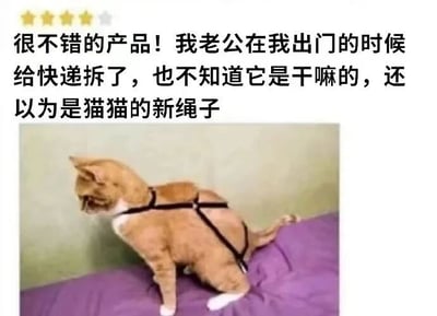 图片上方是一段4.5星评价文字：'很不错的产品！我老公在我出门的时候给快递拆了，也不知道它是干嘛的，还以为是猫猫的新绳子'，下方是一张实拍照片：一只橘猫被戴上黑色交叉式 harness，正坐在紫色床单上，低头看向地面，表情略显困惑。内容通过老公误将 harness 当作猫绳给猫咪佩戴的生活趣事，展现了宠物与主人间的可爱误会，整体风格轻松幽默。