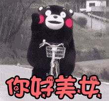 动图中熊本熊骑着自行车，面带热情的表情挥舞着手臂，下方重复出现“你好美女”的文字，整体呈现出一种活泼搞笑的搭讪场景，常用于轻松幽默的社交互动中。