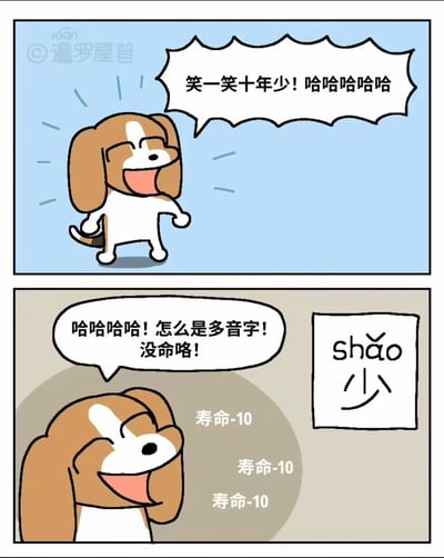这是漫画家暹罗厘普创作的两格连环卡通漫画，第一格中，一只棕白相间的卡通小狗兴奋地开怀大笑，喊出俗语“笑一笑十年少！哈哈哈哈哈”，表现出开心愉悦的状态；第二格中，小狗突然意识到“少”是多音字，当读作shǎo时，“笑一笑十年少”的含义就变成了笑一次寿命减少10年，于是它一边大笑一边崩溃地喊出“哈哈哈哈！怎么是多音字！没命咯！”，画面中还重复出现三次“寿命-10”的文字提示，旁边专门标注出“少”的读音shǎo，利用中文多音字的特点制造出荒诞又搞笑的谐音梗效果，用反差感带来趣味。