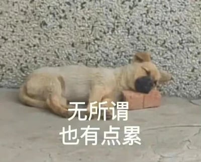 图片中一只浅棕色的小土狗趴在地上，头枕着一块砖块，双眼紧闭，似乎正在熟睡。背景是带有粗糙纹理的墙面。图片下方叠加了白色文字“无所谓 也有点累”，以小狗慵懒的姿态配合文字，生动表达出一种疲惫、佛系的生活态度，常被用于幽默地抒发日常疲惫或对事情的漠不关心。