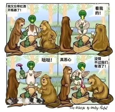 四格漫画描绘了两只水獭和一只鸭子在森林里野餐的场景。第一格水獭苦恼地说“我又忘带红酒开瓶器了！”，第二格鸭子自信地表示“看我的！”，第三格鸭子用身体特殊部位打开红酒瓶发出“哒哒！”声，水獭嫌弃地说“真恶心”，第四格水獭开心地表示“没错不过我们有酒了！”。漫画利用鸭子的生理特征制造幽默效果，画风可爱又搞笑。