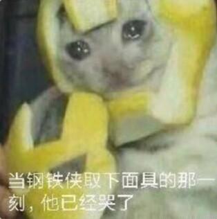 图片中是一只戴着黄色钢铁侠样式头盔的猫咪，头盔形似钢铁侠的面罩。猫咪露出一双大眼睛，眼神中带着委屈，仿佛刚哭过。图片下方配有文字：“当钢铁侠取下面具的那一刻，他已经哭了”。通过将猫咪拟人化，模仿钢铁侠摘下面具的经典场景，用猫咪可爱又委屈的表情制造反差萌，达到搞笑效果。