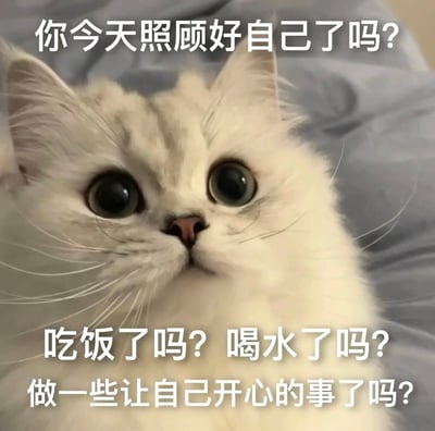 这是一张治愈系的静态表情包图片，主体是一只拥有圆溜溜大眼睛的白色猫咪，它抬头睁着无辜又温柔的双眼，仿佛带着满满的关切。图片上方和下方搭配了三段递进的暖心问候文字：“你今天照顾好自己了吗？吃饭了吗？喝水了吗？做一些让自己开心的事了吗？”，用软萌的动物形象传递出细腻的关心，提醒对方关注自身的生活状态与情绪，整体风格温暖治愈，适合在日常社交中用来表达对亲友的关怀。