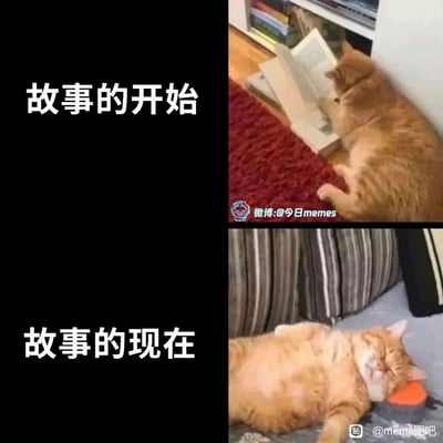 这是一张上下结构的拼接对比梗图，上方区域标注“故事的开始”，呈现一只橘猫端正地趴在红色地毯上，前爪搭在摊开的书本上，姿态专注，仿佛在认真“阅读”；下方区域标注“故事的现在”，展示一只橘猫四仰八叉地躺在沙发上，肚子朝上，睡得十分香甜，姿态慵懒摆烂。两张图通过强烈的状态反差，生动调侃了从最初积极努力、踌躇满志，到后来佛系躺平、摆烂放松的心态变化，精准贴合当代部分人的生活状态，引发共鸣。