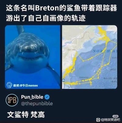 这是一张趣味梗图，采用左右对比的图文混排形式：左侧是名为Breton的鲨鱼的正面实拍图，鲨鱼嘴部形态看起来如同在微笑；右侧是该鲨鱼佩戴跟踪器后留下的海洋游动轨迹图，轨迹的轮廓意外和鲨鱼的外形高度相似，仿佛是鲨鱼画出了自己的自画像。图中搭配了谐音梗文字“文鲨特·梵高”，化用艺术家文森特·梵高的名字，将鲨鱼调侃为会“创作自画像”的艺术家，结合轨迹和外形的巧合制造出荒诞搞笑的效果。
