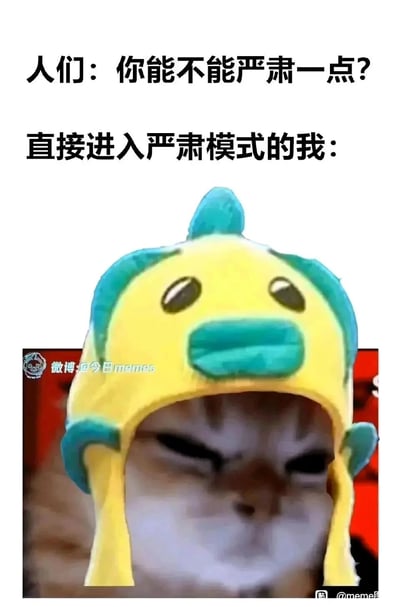 这是一张搞笑表情包，上方配有两段文字，分别是“人们：你能不能严肃一点？”和“直接进入严肃模式的我：”，下方是一只戴着黄蓝配色卡通鱼头帽的猫咪，猫咪眉头紧皱，双眼挤成一条缝，努力做出严肃的表情，但滑稽的帽子和用力过度的表情形成强烈反差，让整体效果充满笑点，精准地还原了被他人要求严肃时，自己试图摆出严肃姿态却显得十分滑稽的场景，很容易引发网友的共鸣。