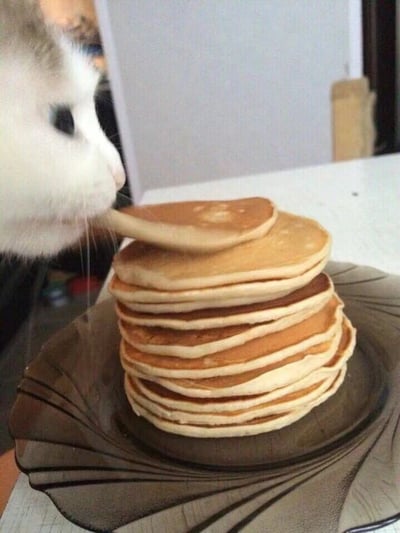 一只毛色雪白、眼睛乌黑的猫咪正歪着头，用鼻子凑近一摞金黄色的 pancakes。猫咪的胡须微微翘起，眼神专注又带着点馋意，前爪似乎正准备偷偷扒拉最顶上那块煎饼。一叠大约10片的 pancakes 整齐地码在棕色花纹盘子里，边缘略带焦香，散发着诱人的光泽。背景是简洁的白色桌面和墙壁，让整个画面聚焦在猫咪与美食的趣味互动上，充满生活气息和萌点。