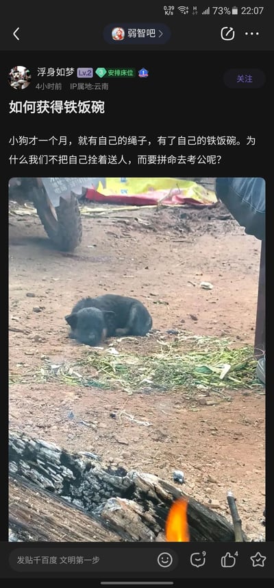 这是一张百度贴吧“弱智吧”的竖屏帖子截图，用户“浮身如梦”发布了标题为《如何获得铁饭碗》的内容。正文以一只仅一个月大、被拴着的小黑狗为切入点，调侃小狗已经拥有了“铁饭碗”——即被人收养获得稳定的生存依靠，随后用荒诞的反问“为什么我们不把自己拴着送人，而要拼命去考公呢？”，戏谑地吐槽当代年轻人为了追求稳定的“铁饭碗”而拼命考公的现状。配图是一只趴在户外泥土地上的小黑狗，周围环境简陋，能看到燃烧的柴火、摩托车轮和杂物，整体氛围带着接地气的荒诞感。