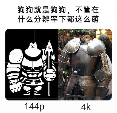 暂无描述
