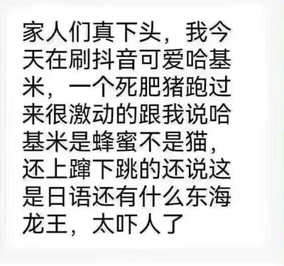 该图为纯文字内容，讲述了作者在抖音刷到可爱“哈基米”（网络上对猫的爱称）时，被他人误解“哈基米”是日语中“蜂蜜”的意思，甚至扯上“东海龙王”，从而感到“下头”（令人失望、无语）的经历。内容充满网络流行语，展现了日常生活中因网络热词引发的趣味误解场景。