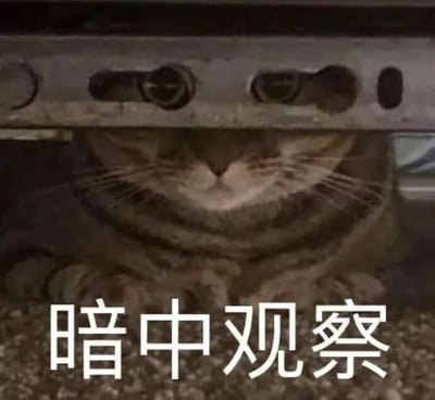 一只虎斑猫躲在金属物体下方，仅露出两只眼睛和部分脸部，正小心翼翼地向外偷看。猫咪的眼神专注，胡须清晰可见，姿态显得十分警惕。图片底部配有白色文字“暗中观察”，精准概括了猫咪偷偷观察外界的可爱场景，整体画面生动有趣。