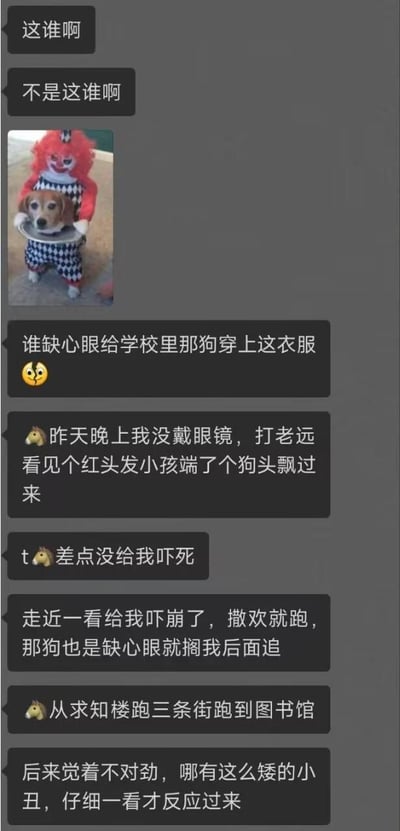 这是一段社交聊天记录截图，用户分享了自己在学校里遇到的搞笑乌龙经历：学校里的狗狗被穿上了小丑造型的衣服，用户没戴眼镜时远远望去，错把它看成红头发端着狗头的小孩，吓得从求知楼狂奔三条街到图书馆，还被狗狗在后面追，最后才反应过来是穿了衣服的狗。整个经历充满戏剧性，视觉错位带来的误会让事件格外好笑。
无双关、谐音梗或暗示内容。