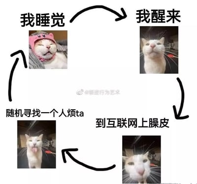 这张梗图用四张可爱且表情丰富的猫咪照片，配合文本构成了一个幽默的互联网行为循环：我睡觉、我醒来、到互联网上腻皮、随机找一个人烦ta，最后又回到“我睡觉”。猫咪搞怪的表情与网络社交的调侃气质相结合，演绎出当下网友日常作息与互联网习惯的自我调侃。

此外，“腻皮”是“顽皮、皮一下”的网络用语，凸显了一种爱的恶作剧的状态，整体含有明显的自嘲、双关与趣味。